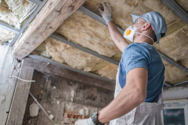 Types of Insulation We Offer in Apalachin, NY
