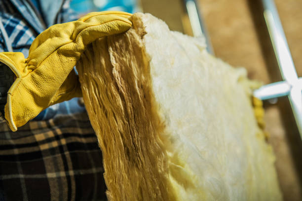 Best Cellulose Insulation in Apalachin, NY