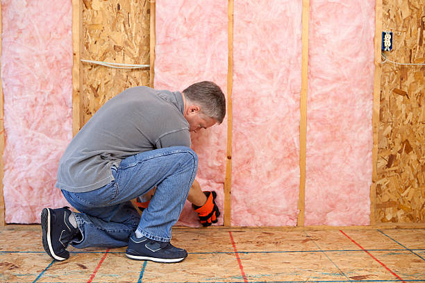 Best Insulation Maintenance and Repair in Apalachin, NY