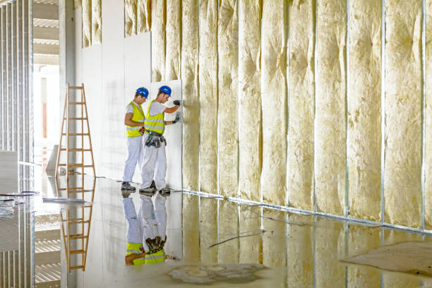 Best Spray Foam Insulation in Apalachin, NY